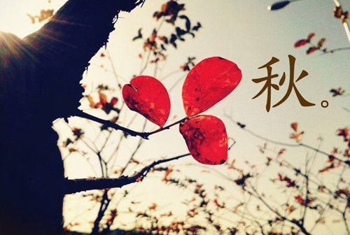 回頭.我就走