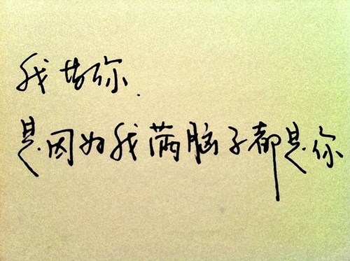 李云龍表白情話撩人