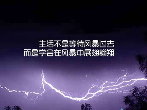 25句時光的情人節(jié)告白
