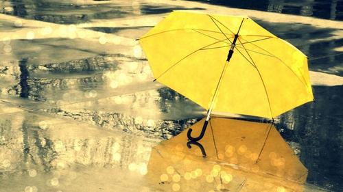 下雨了我沒帶傘套路