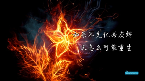 我想組個樂隊土味情話