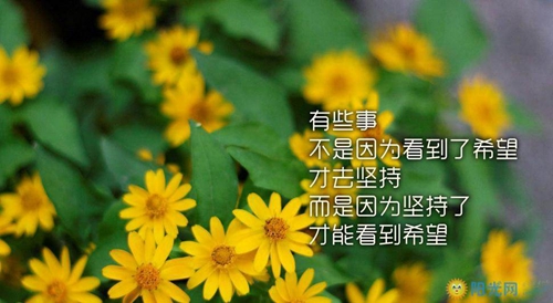 左航金句語錄