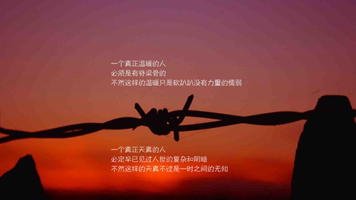 烏龍茶的句子