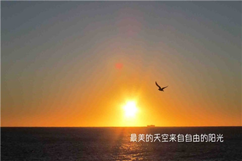 田亦杰的情話大全