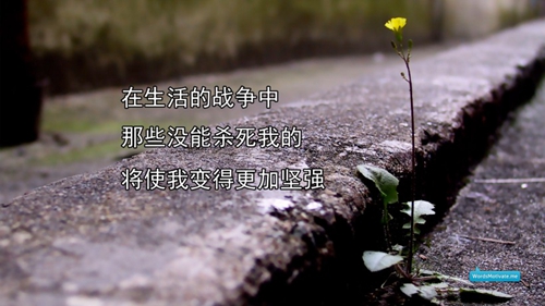 一生愛一人用英語怎么寫