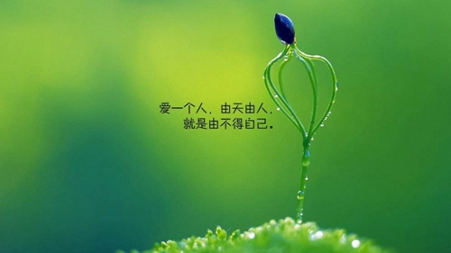 有關生的情人節情話