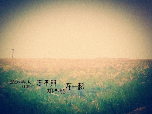 愛嗎的情話大全