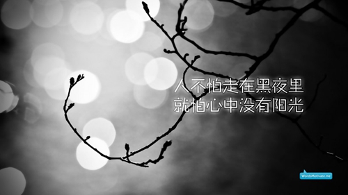 小情話短句