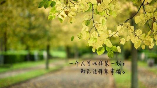 10條余生的表白的話