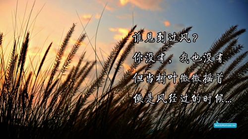 520字的表白情書真實點