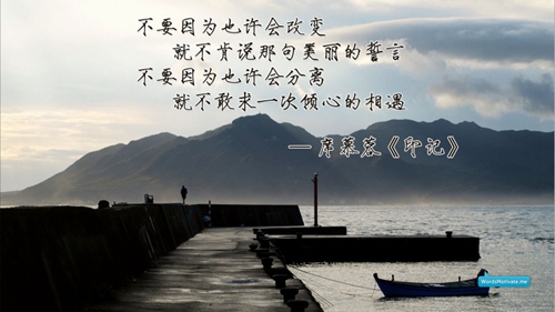 朱一龍表白詞