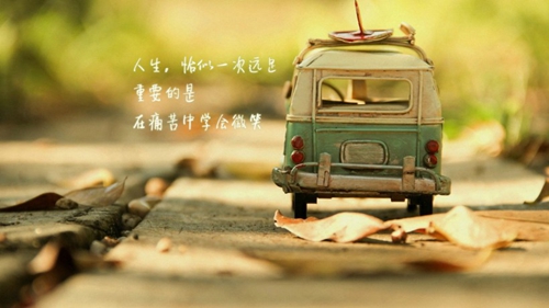 老夫老妻的浪漫情話