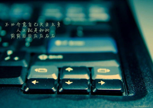 當(dāng)歌詞情話語錄