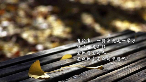 陸展博表白情書
