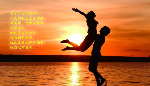 關(guān)于幽默土味情話
